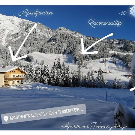 Apartment Tennengebirge Sankt Martin am Tennengebirge Bagian luar foto