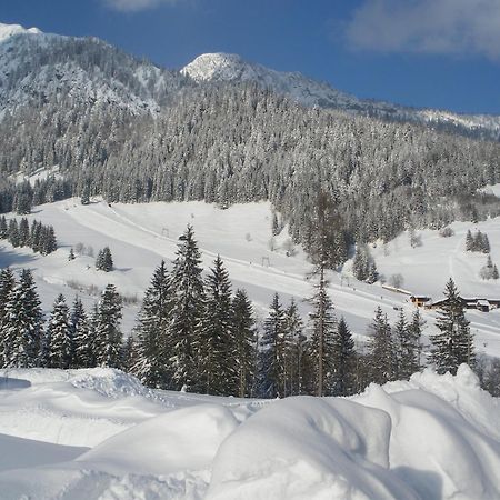 Apartment Tennengebirge Sankt Martin am Tennengebirge Bagian luar foto
