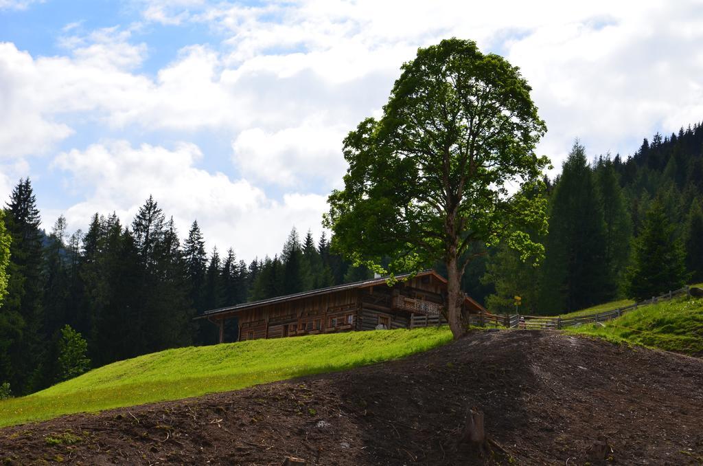 Apartment Tennengebirge Sankt Martin am Tennengebirge Bagian luar foto